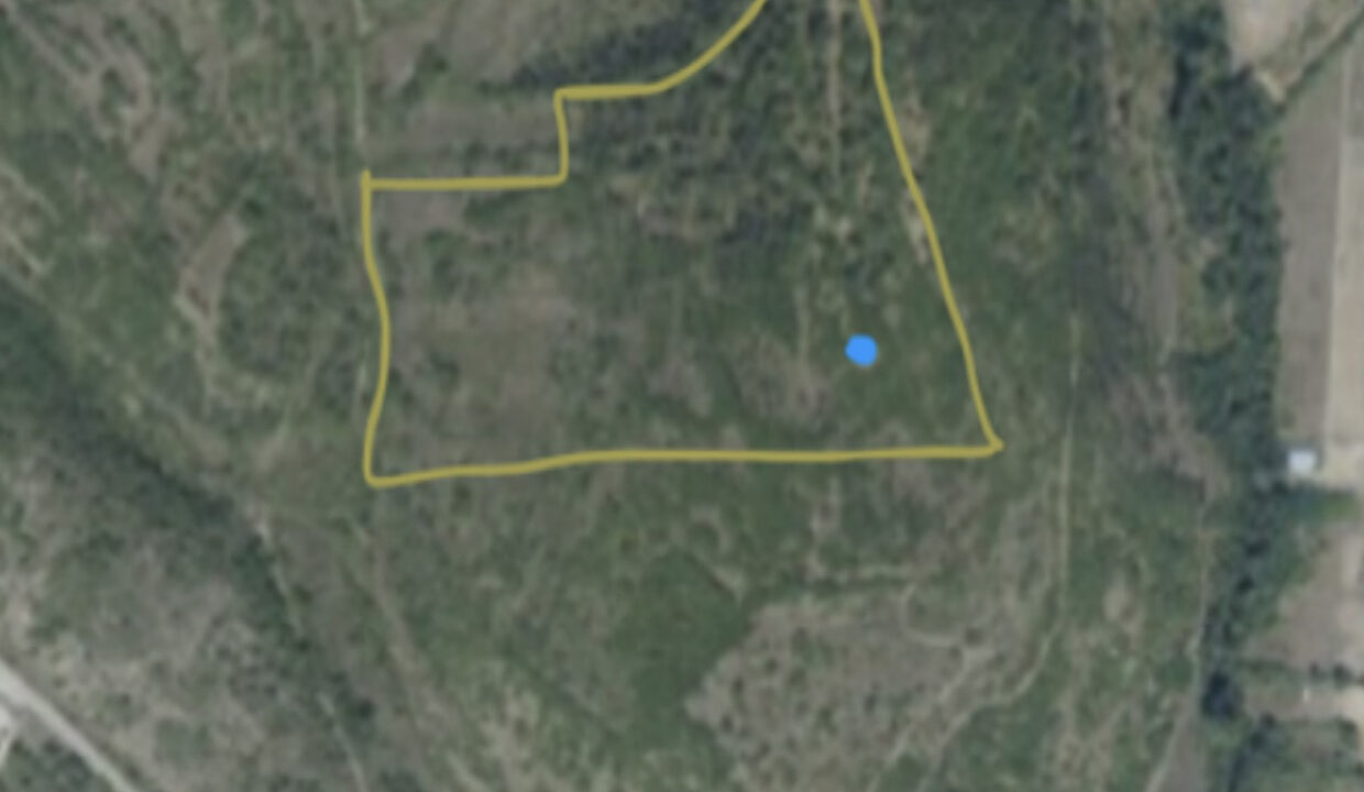 Haus, Sechs Hektar Land Drniš