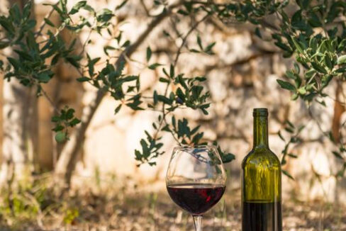 Steinerbehaus - Insel Solta