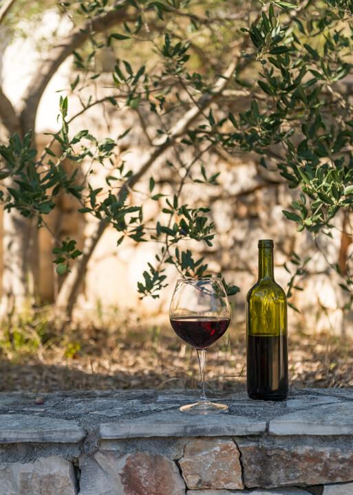 Steinerbehaus - Insel Solta